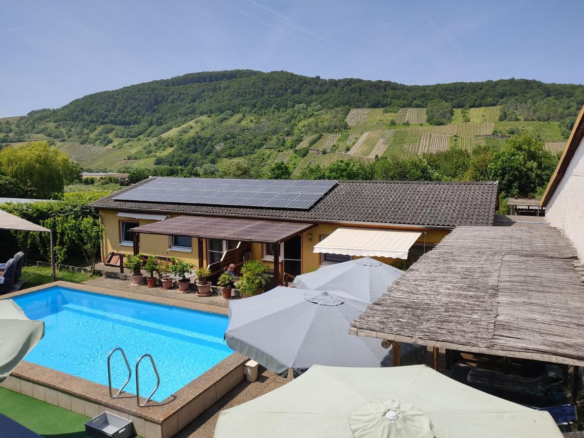 Apartment Moselferienweingut Schaefer Wintrich