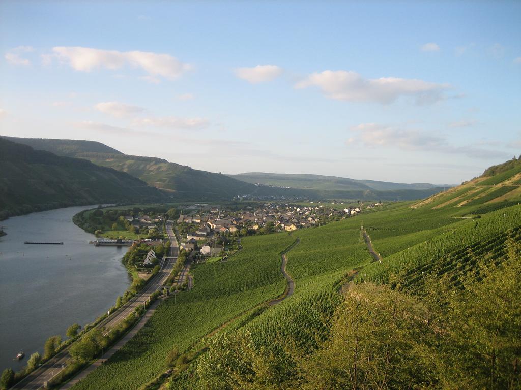 Moselferienweingut Schaefer Wintrich